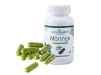 MORINGA OILEFERA 500MG 90CAP - 2